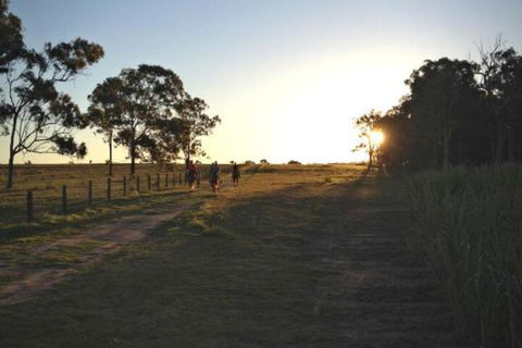 Susan River Homestead - Accommodation Nelson Bay 2