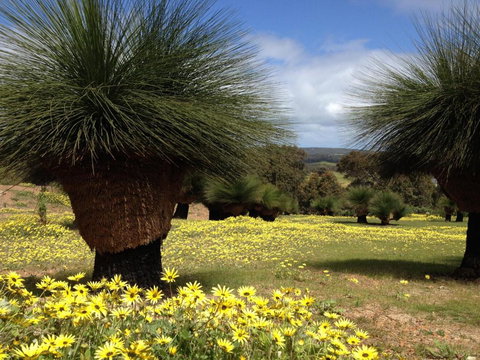 Bed + Bauhaus - Accommodation Nelson Bay 5