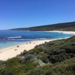 Bed + Bauhaus - Accommodation Nelson Bay 0