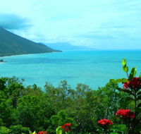 Aquatica Palm Cove - Accommodation Nelson Bay