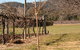 The Farmhouse At Blue Wren Wines - thumb 3