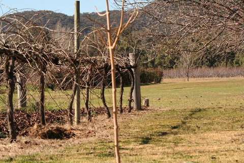 The Farmhouse At Blue Wren Wines - Accommodation Nelson Bay 3
