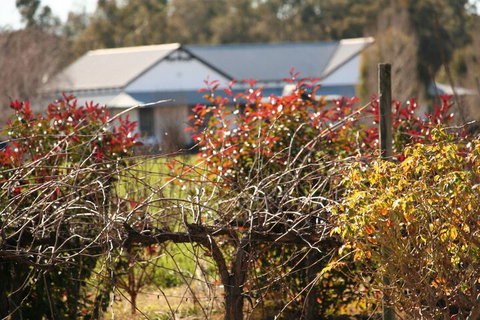 The Farmhouse At Blue Wren Wines - Accommodation Nelson Bay 2