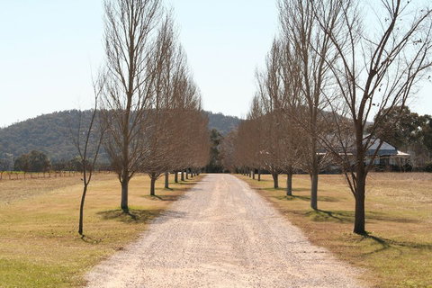 The Farmhouse At Blue Wren Wines - Accommodation Nelson Bay 4