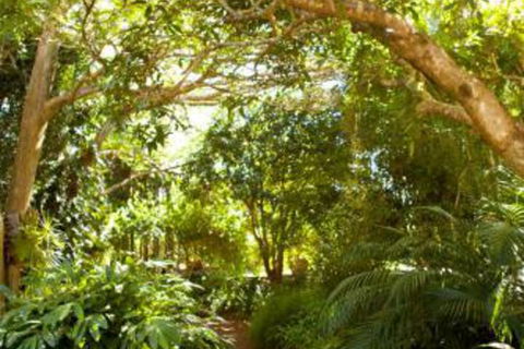Taman Sari Private Pavilions - Accommodation Nelson Bay 3