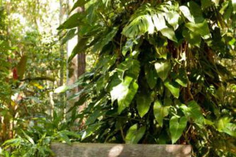 Taman Sari Private Pavilions - Accommodation Nelson Bay 4