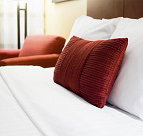 The Beach - Accommodation Nelson Bay
