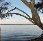 Waterfront Jervis Bay Escape Cooinda - Nelson Bay Accommodation.com