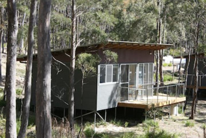 Avoca TAS Accommodation Nelson Bay