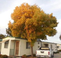 Wodonga Caravan  Cabin Park - Accommodation Nelson Bay