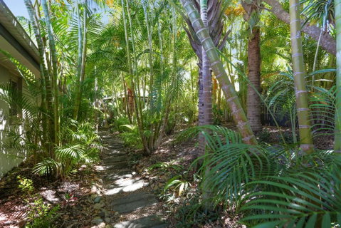Palm Trees Noosa - Accommodation Nelson Bay 6