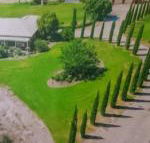 Gaerwood B  B - Accommodation Nelson Bay