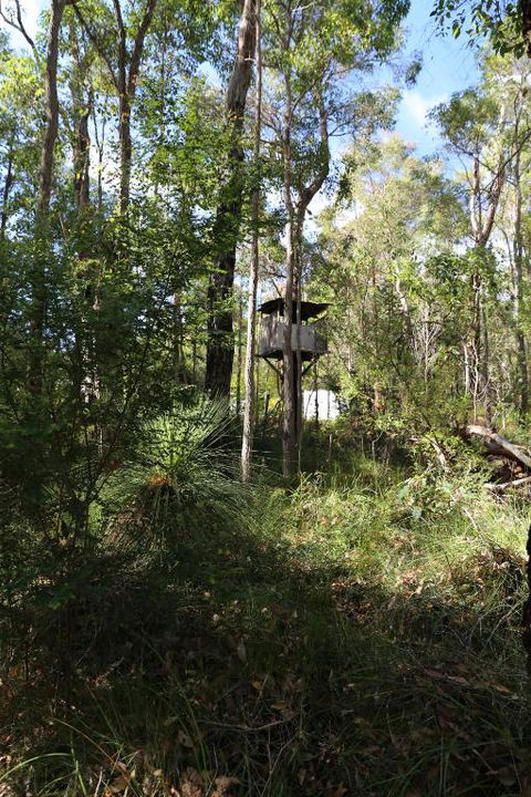 Nannup Bush Retreat - Accommodation Nelson Bay 2