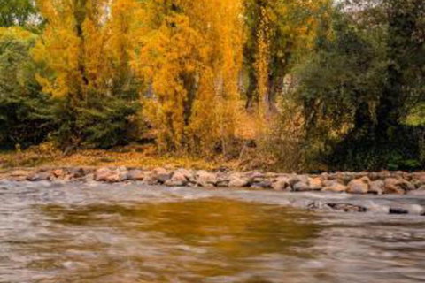 Alpine Aspects - Accommodation Nelson Bay 5