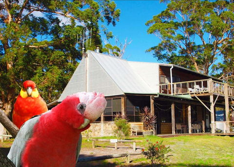 Wolfes Landing Eco Retreat - Accommodation Nelson Bay 2