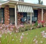Butterfly Cottage - Accommodation Nelson Bay