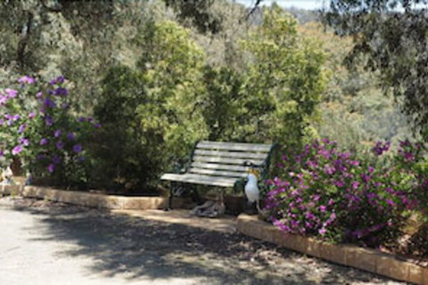 Wild Cherry Bed & Breakfast - Nelson Bay Accommodation.com 3