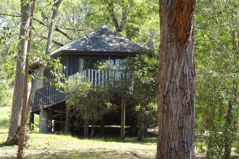 Barrington Tops Nest - Accommodation Nelson Bay 2