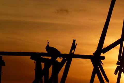 The Wicked Villa - Accommodation Nelson Bay 5