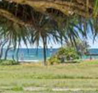 Pandanus on Emerald - Accommodation Nelson Bay