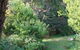 Strathmore Farm B & B - thumb 5