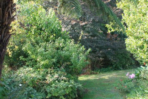 Strathmore Farm B & B - Accommodation Nelson Bay 5