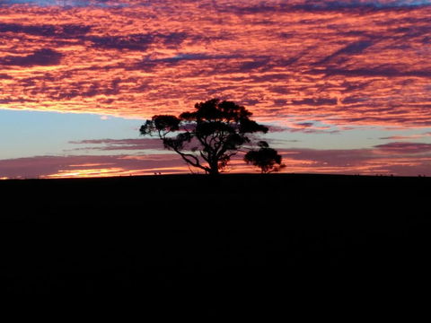 Heartland Hideaway - Accommodation Nelson Bay 3