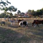 Heartland Hideaway - Accommodation Nelson Bay 0