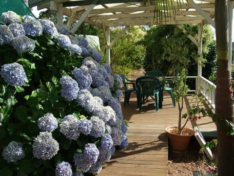 Nannup Riverview Cottage - Accommodation Nelson Bay 3