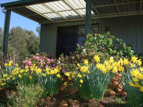 Nannup Riverview Cottage - Accommodation Nelson Bay 0
