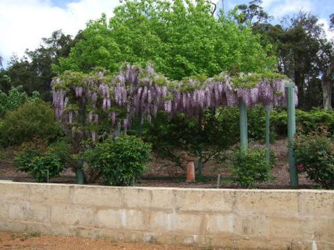 Nannup Riverview Cottage - Accommodation Nelson Bay 5