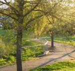 A Suite Spot in the Hills - Accommodation Nelson Bay