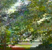 Banyan Tree Resort - Accommodation Nelson Bay