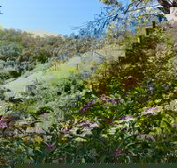 Copeland Manse - Accommodation Nelson Bay