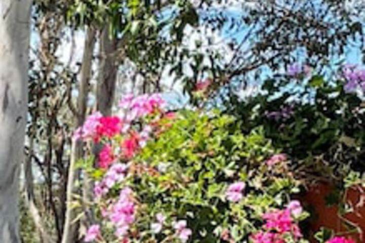Anduramba QLD Accommodation Nelson Bay