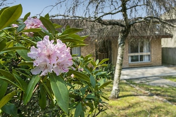 Wentworth Rose - Accommodation Nelson Bay 0