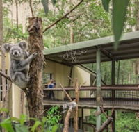 Springwood Meditation Vacation Center - Accommodation Nelson Bay