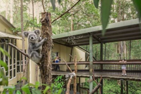 Springwood Meditation Vacation Center - Accommodation Nelson Bay 0