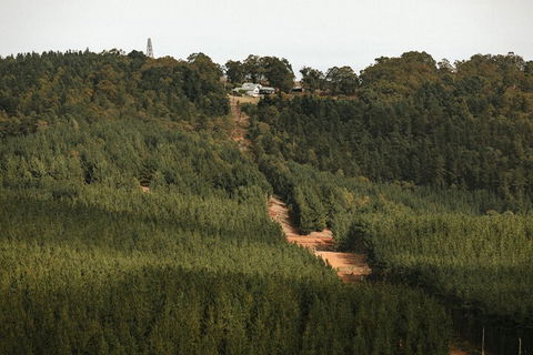 Nannup Hideaway - Accommodation Nelson Bay 4