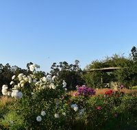Labertouche Gypsy Creek Winery - Accommodation Nelson Bay