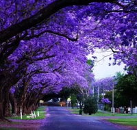 Park view on the City Fringe - Accommodation Nelson Bay