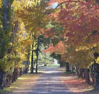 Wombeyan Caves - Accommodation Nelson Bay