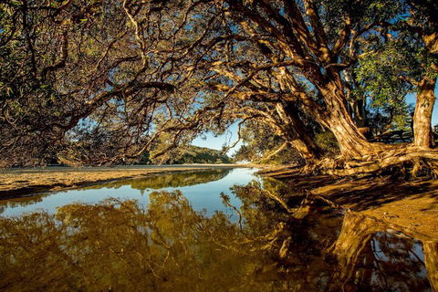 Woolgoolga Lakeside Holiday Park - Accommodation Nelson Bay 1