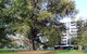 Adelaide Central Apartment - 3BR, 2Bath & Carpark - thumb 1