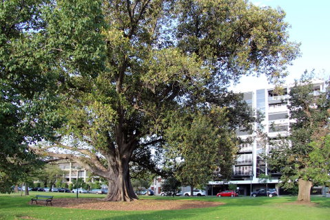 Adelaide Central Apartment - 3BR, 2Bath & Carpark - Accommodation Nelson Bay 1