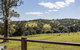 Valley Cabins By The Creek - thumb 7