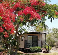 Mt Larcom Tourist Park - Accommodation Nelson Bay