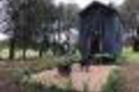 Willandra Tiny House - Accommodation Nelson Bay 5