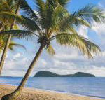 Eden Oceans Edge Palm Cove - Accommodation Nelson Bay