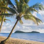 Eden Oceans Edge Palm Cove - Accommodation Nelson Bay 0